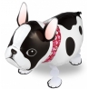 Globo Buldog Francés Air-Walker