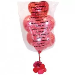 Bolsa de transporte para bouquets de globos (50u)
